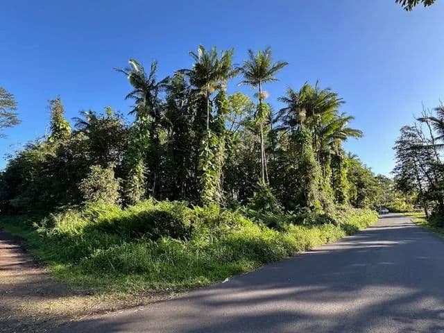 Vacant Land in Pahoa