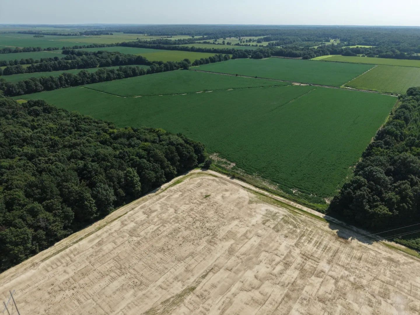 Arkansas Land Auction - Craighead County - Arkansas,