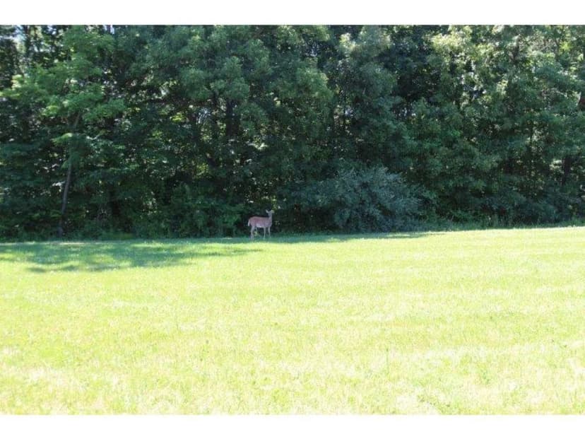 Vacant Land in Charleston