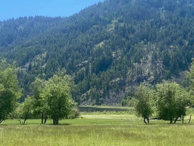 Lots & Land-Other in Priest River