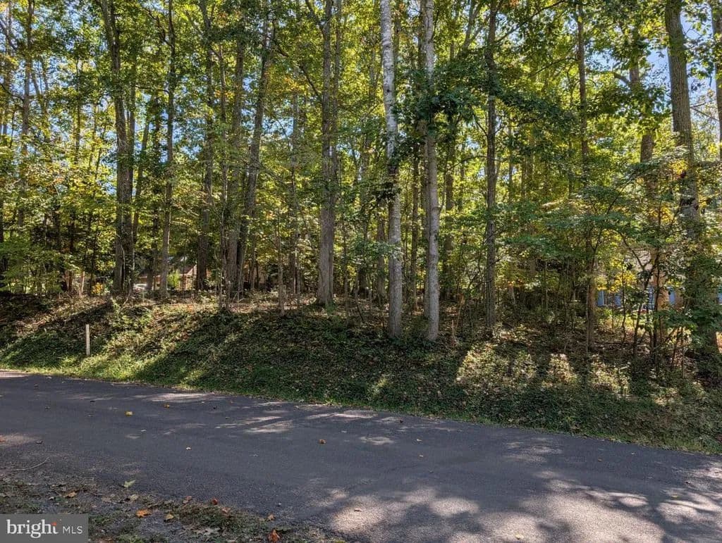 Vacant Land in Locust Grove - Locust Grove, Virginia, 22508