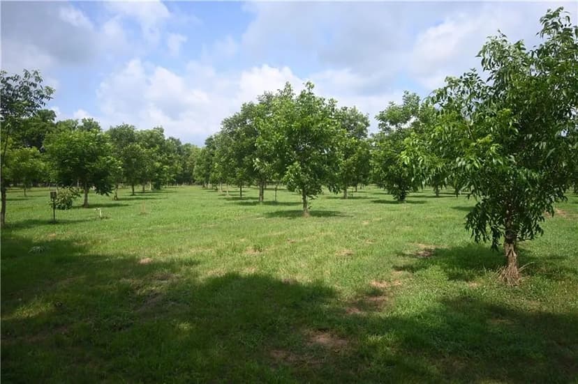 Property from 619 WOODSON Road - KW