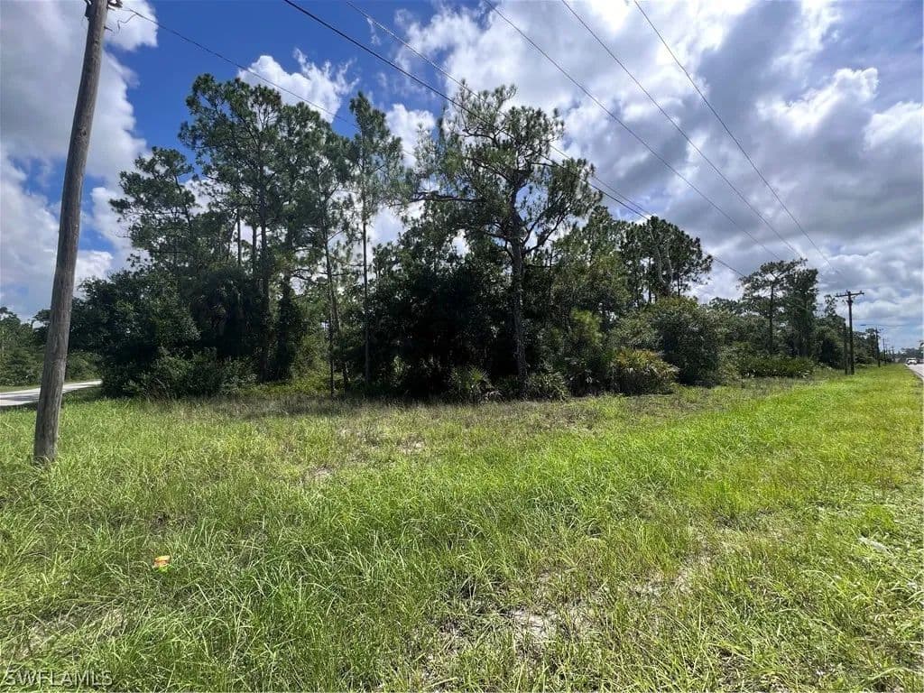 Vacant Land in Lehigh Acres - Lehigh Acres, Florida, 33972