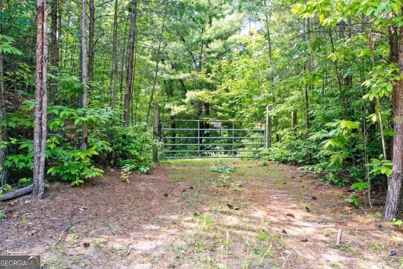 Vacant Land in Ellijay
