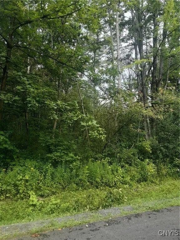 Lots & Land-Other in Canastota