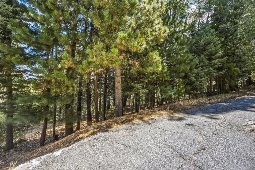 Lots & Land-Other in Lake Arrowhead - Lake Arrowhead, California, 92352