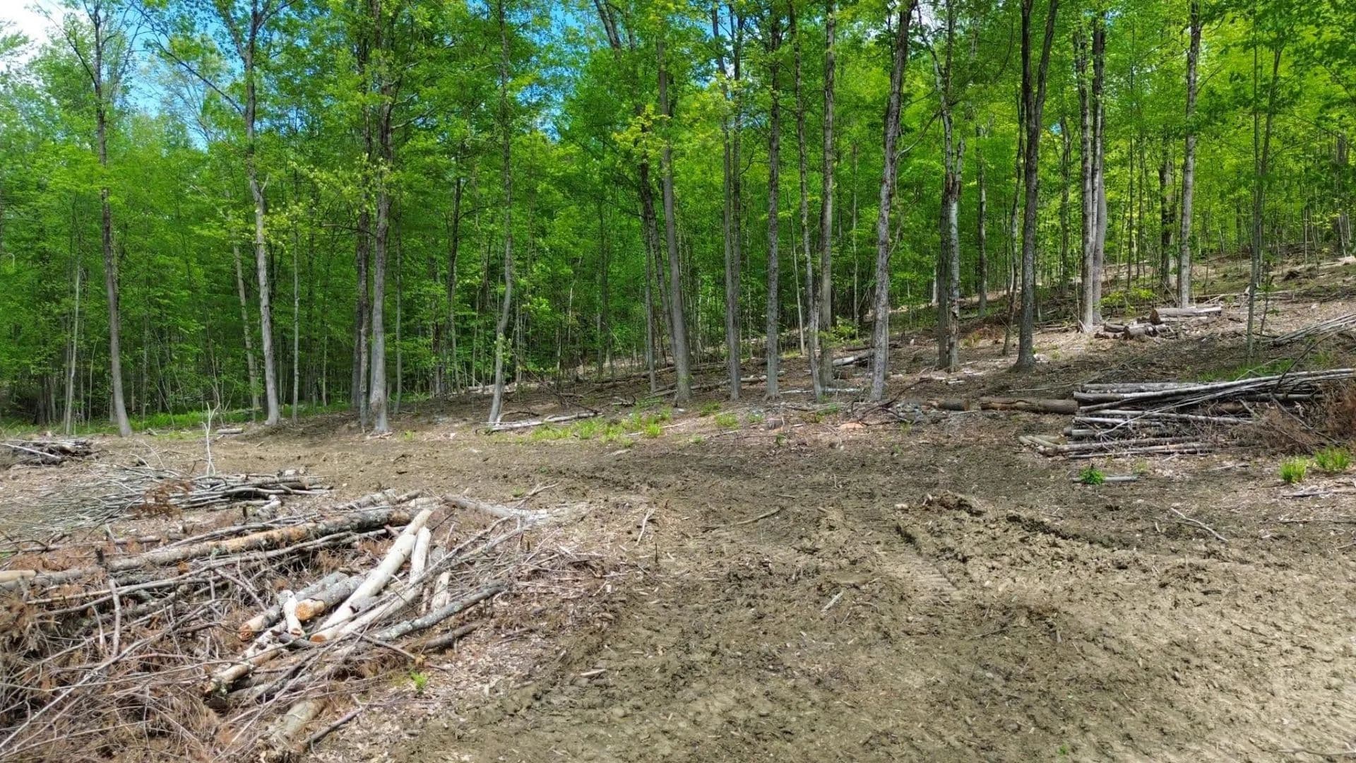 Vacant Land in Hinsdale - Hinsdale, New Hampshire, 03451
