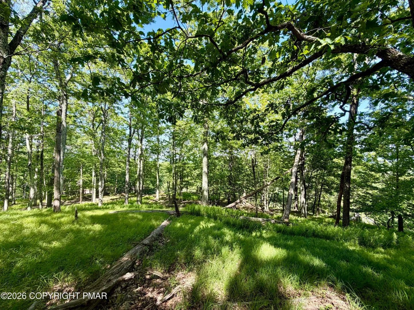Property from Hillary Drive W - KW - White Haven, Pennsylvania, 18661