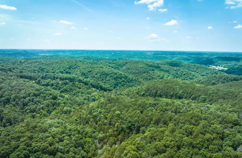 Huckleberry Ridge 25