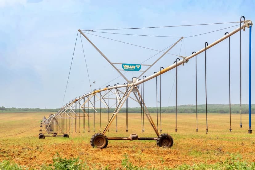 Keystone Farms