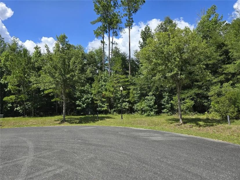 Vacant Land in Gainesville
