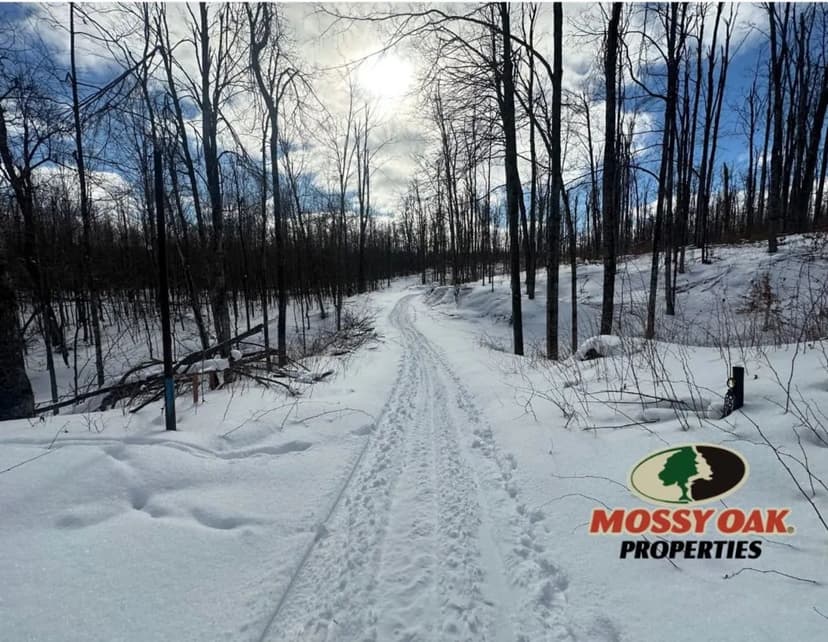 A Private Northern Michigan Highlands Retreat