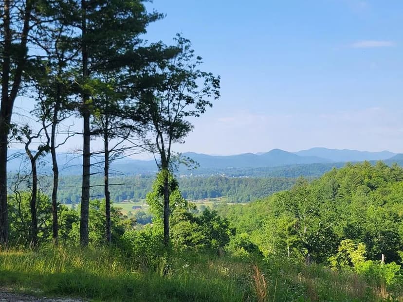 Lots & Land-Other in Hayesville