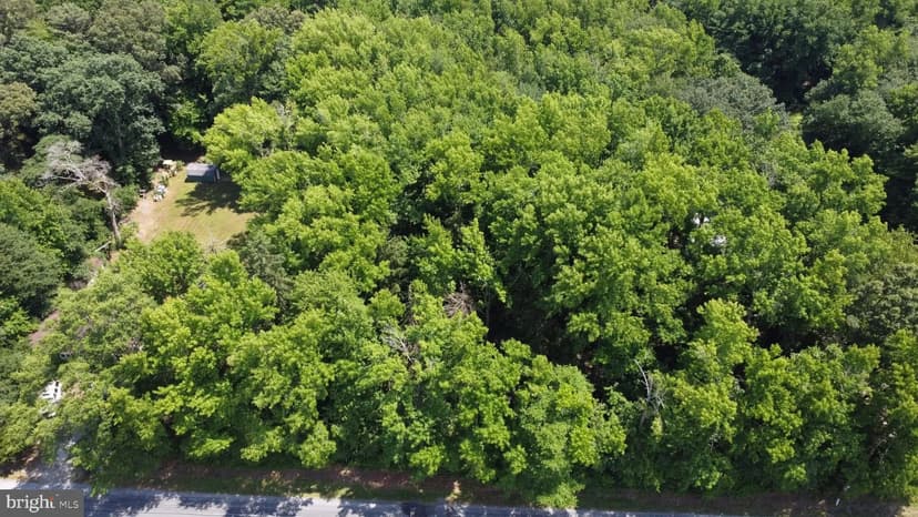 Lots & Land-Other in ELLENDALE