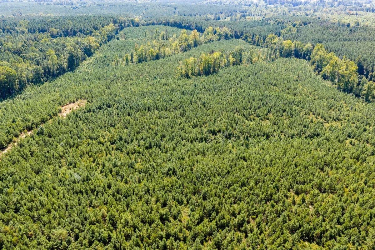 Jordan Tract - Drakes Corner, Virginia, 23937