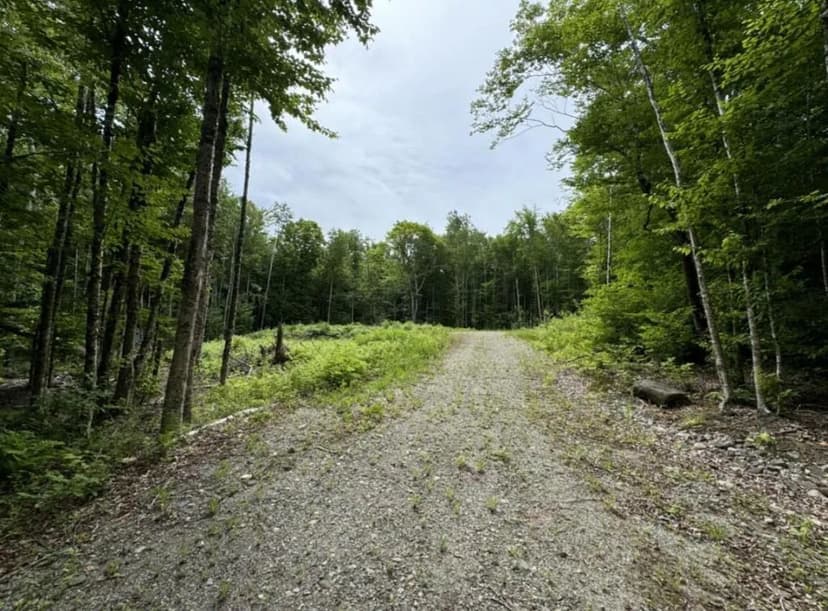 Land -Single Family Acreage in Cathance Twp