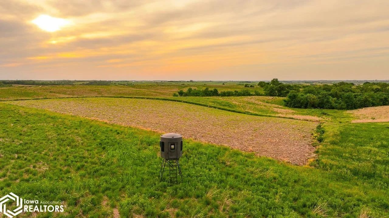 39.7 Acres of Land for Sale in Lovilia, Iowa - Lovilia, Iowa, 50150
