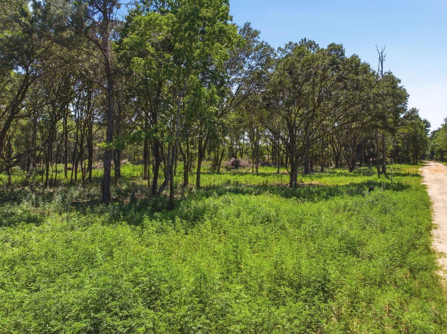 Property from 5228 Josacs Trail - KW - Milton, Florida, 32583