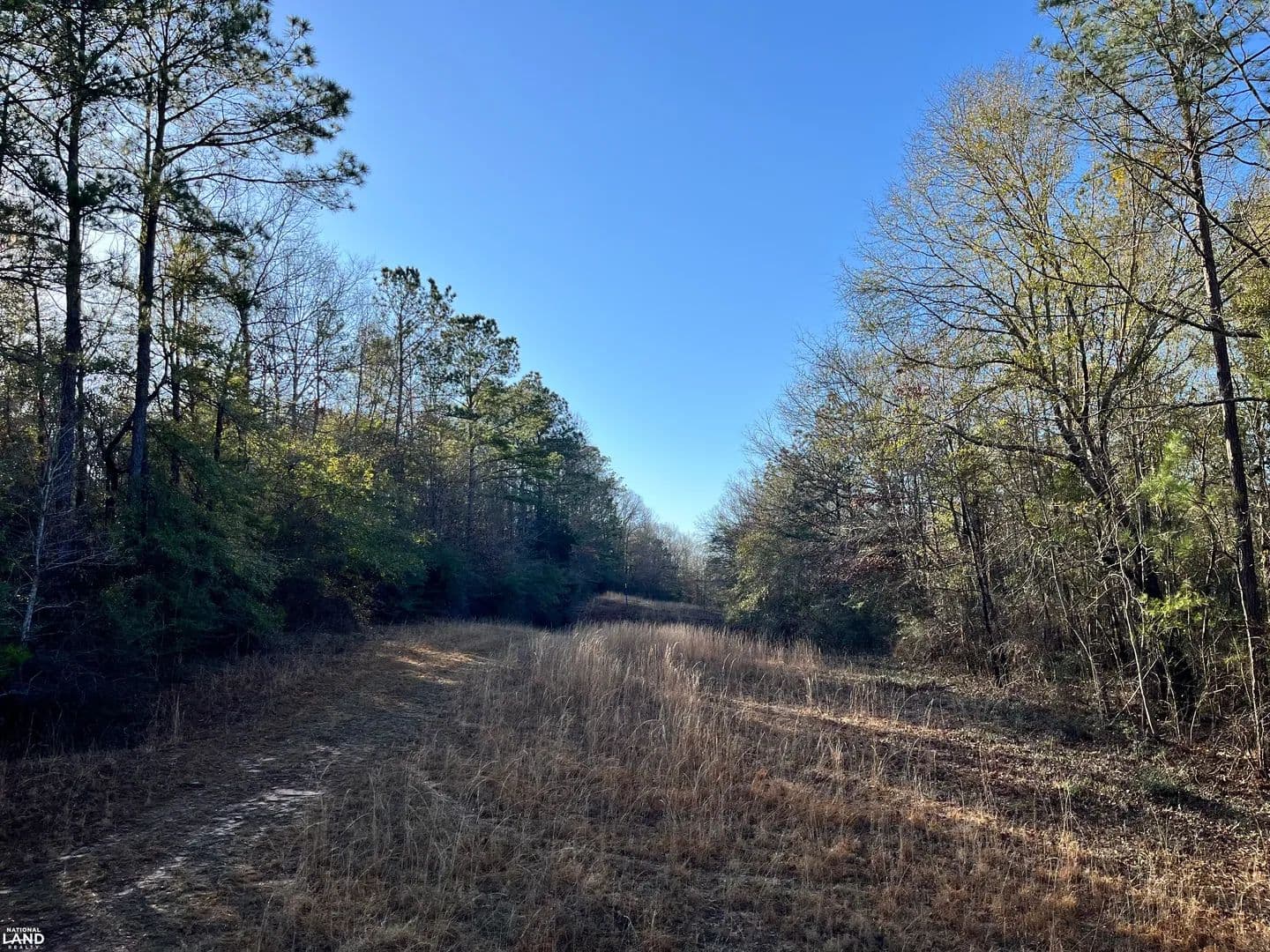 Selma Recreational & Timber Investment - Selma, Alabama, 36701