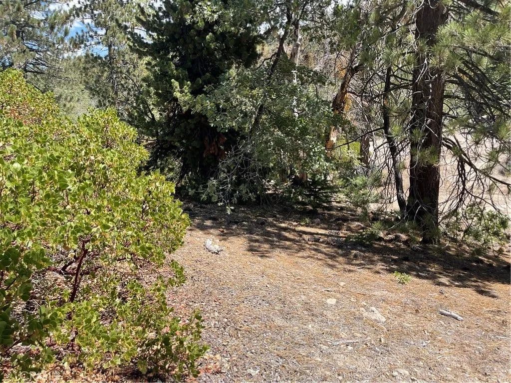 Vacant Land in Running Springs - Running Springs, California, 92382