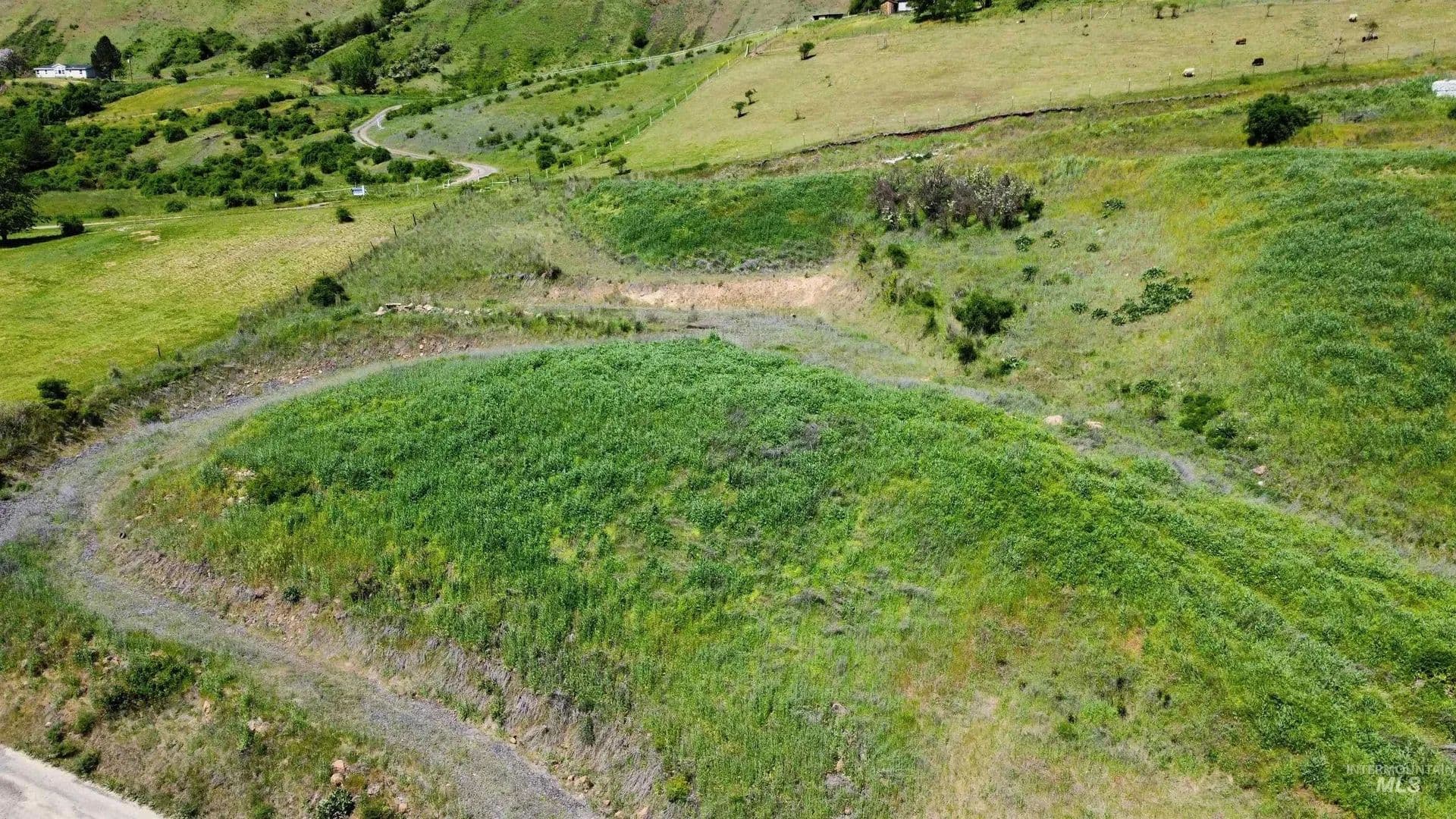 Lots & Land-Other in Lenore - Lenore, Idaho, 83541