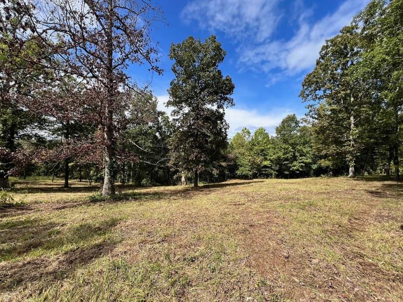 Vacant Land (10+ Acres) in Mammoth Spring