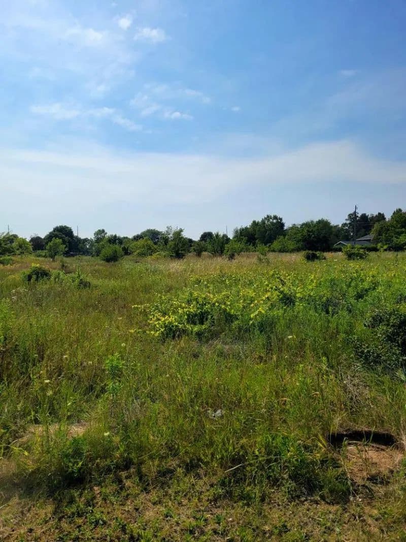 Land -Single Family Acreage in Sturgeon Bay
