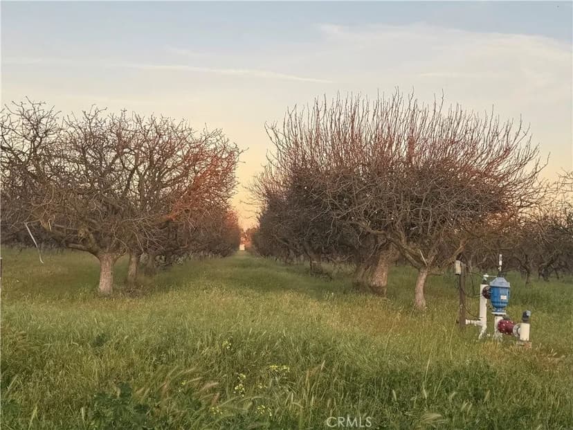 Lots & Land-Other in Madera