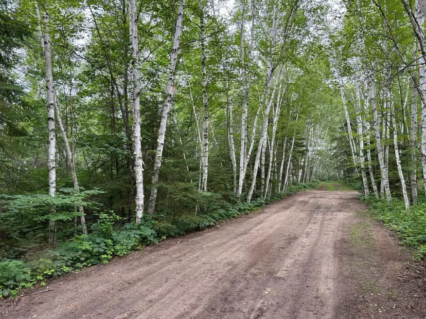 Lots & Land-Other in Bemidji