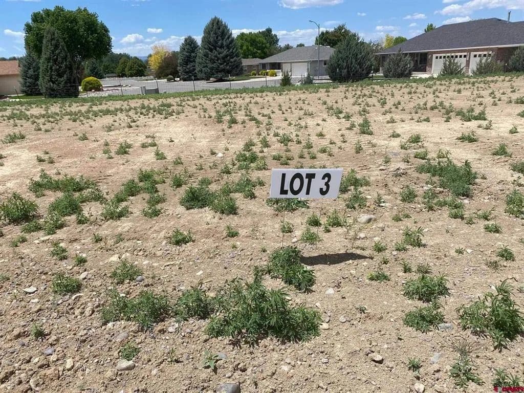 Vacant Land in Montrose - Montrose, Colorado, 81401