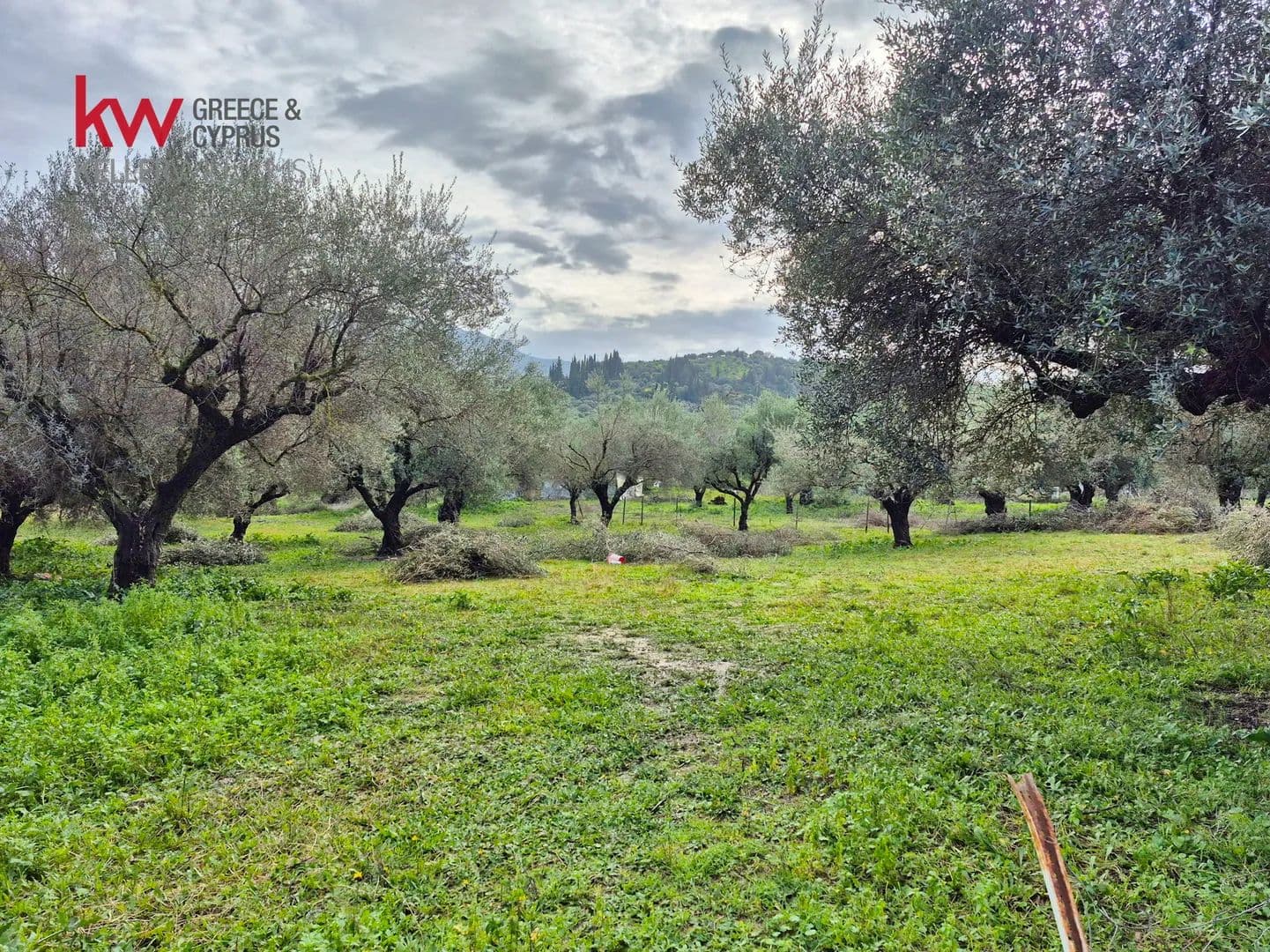 Land for Sale in Paralia, Achaia - land for sale