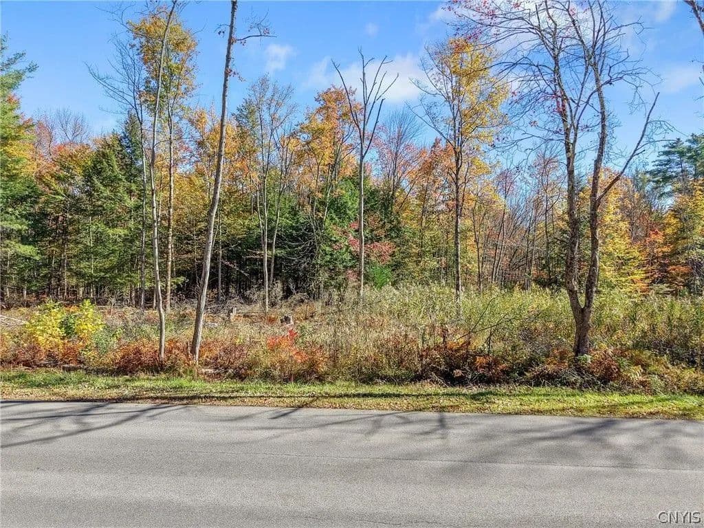 Land -Single Family Acreage in Cleveland - Cleveland, New York, 13042