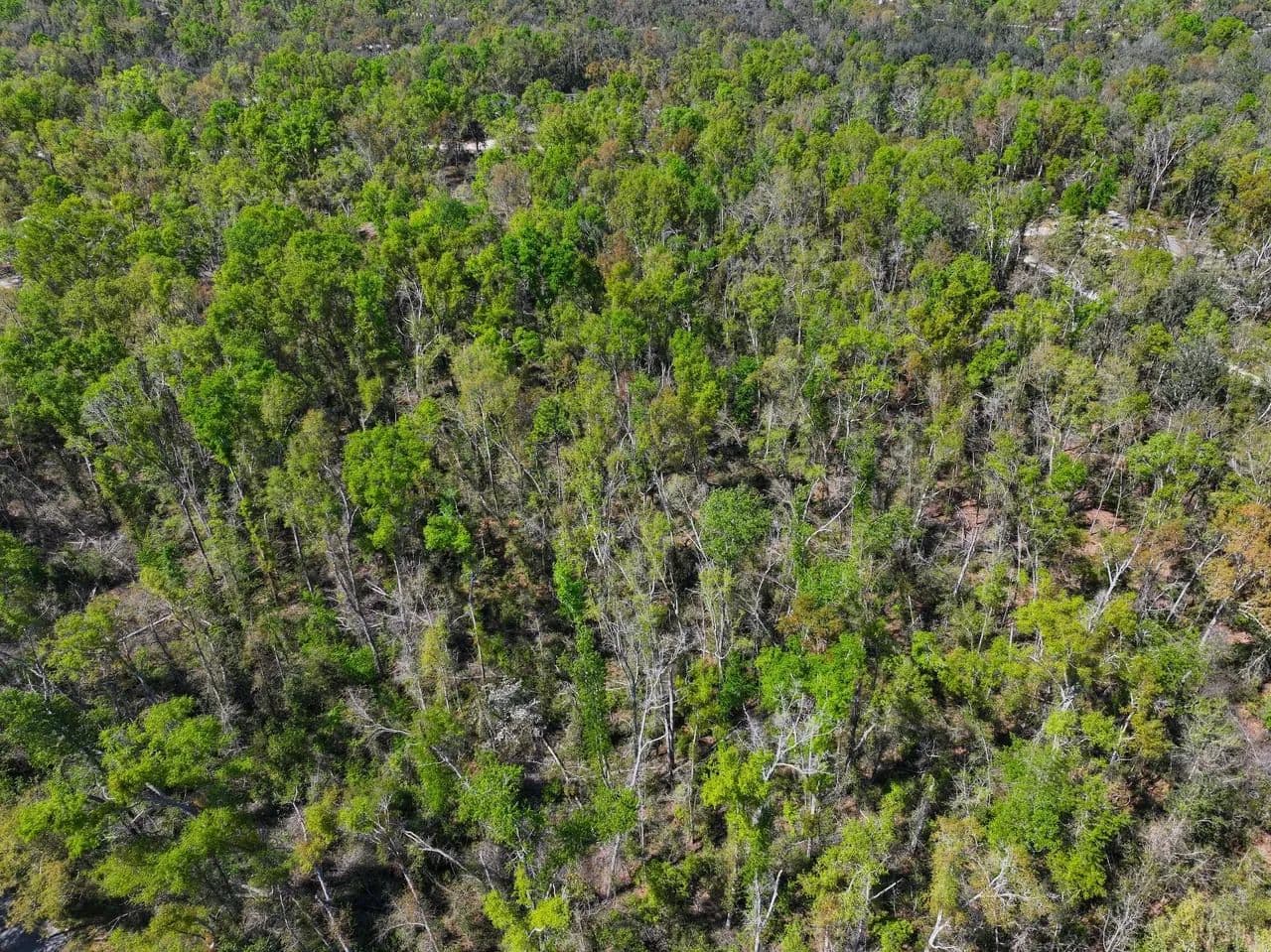 NE Champion Loop - Lee, Florida, 32059