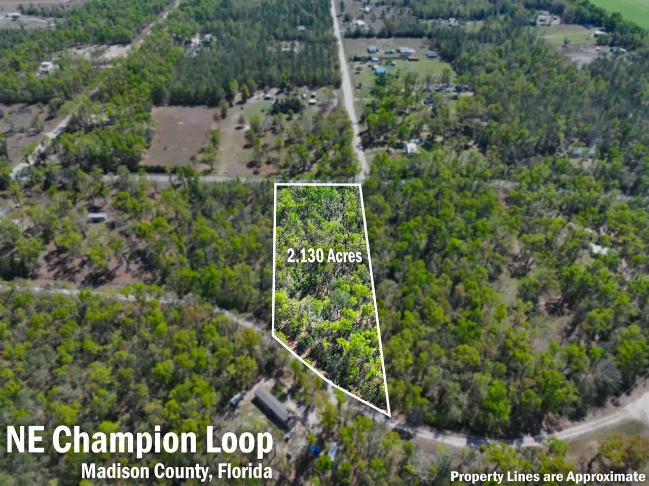 NE Champion Loop - Lee, Florida, 32059