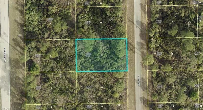 Vacant Land in Lehigh Acres