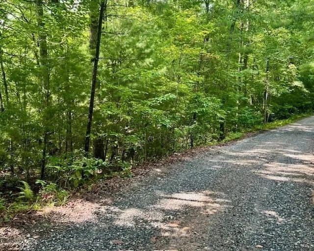 Vacant Land in Blue Ridge