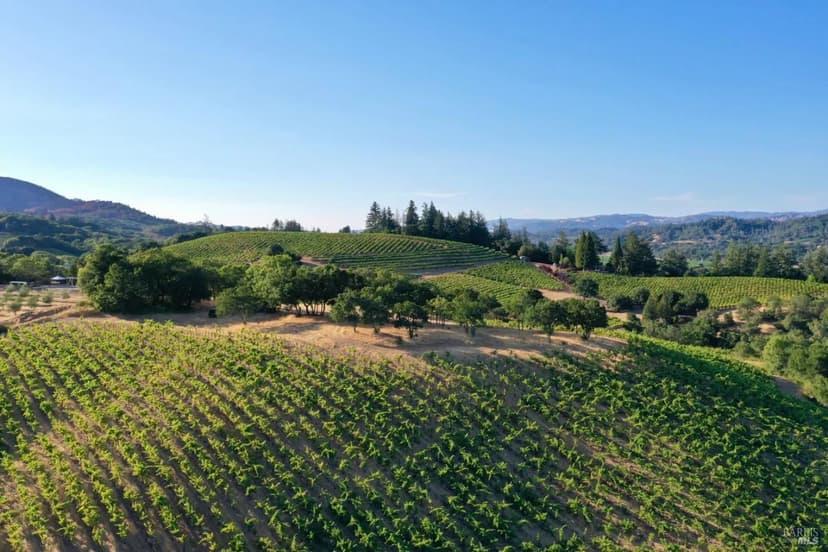 Vacant Land in Healdsburg
