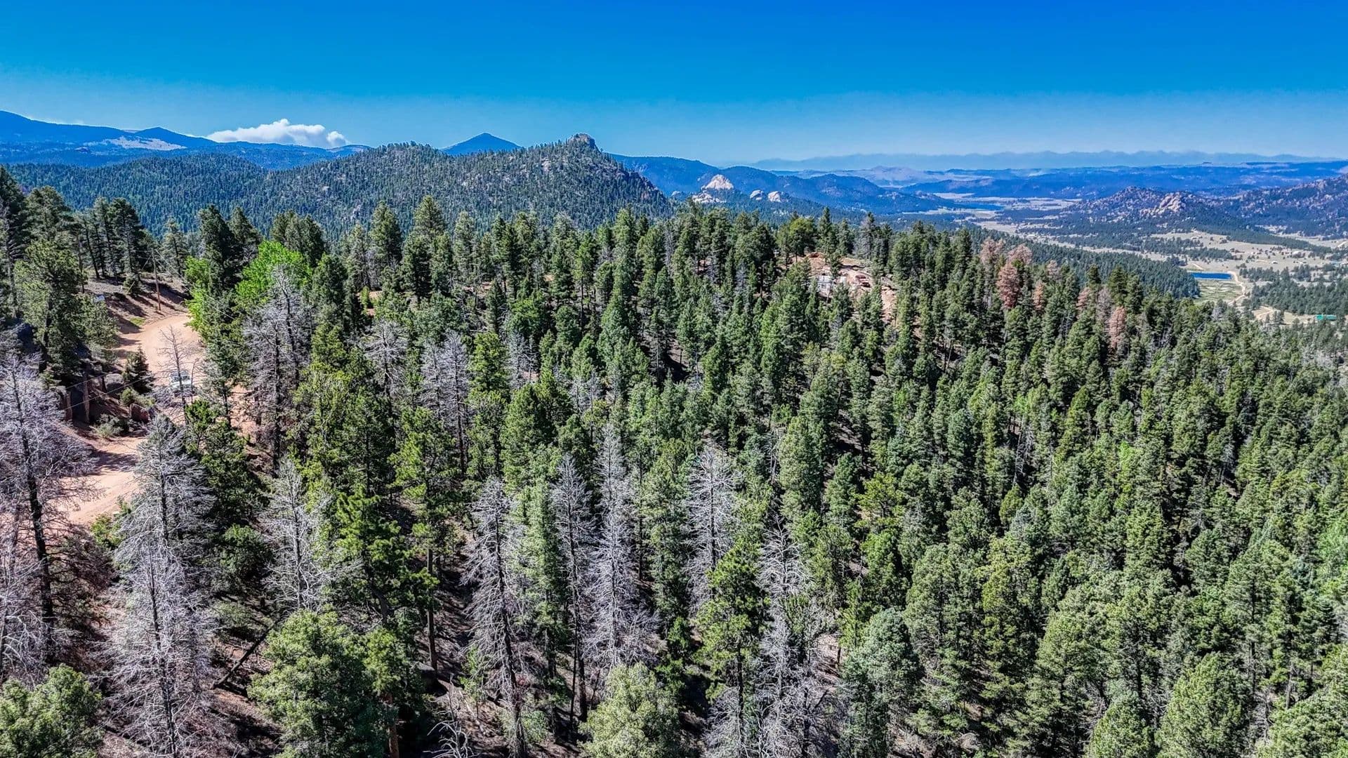 Vacant Land in Florissant - Florissant, Colorado, 80816