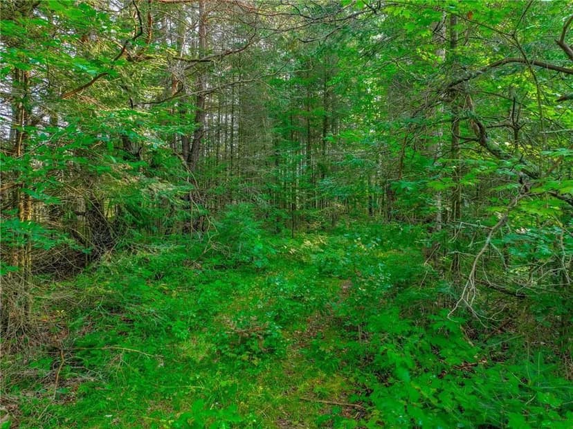 Vacant Land in Hayward