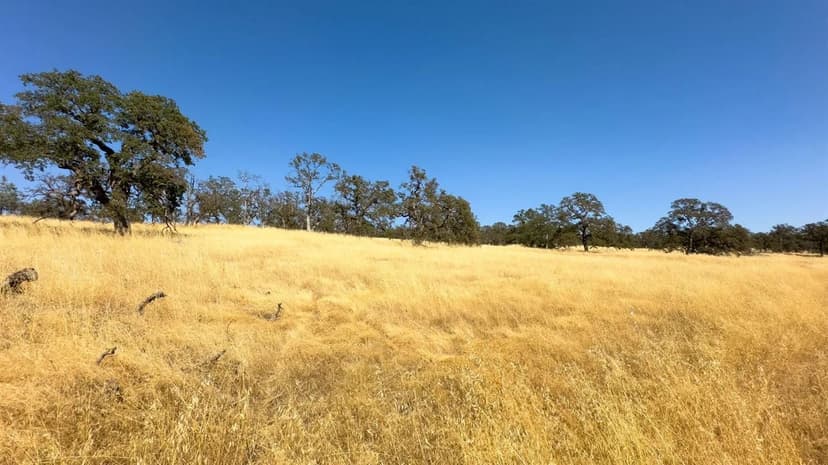 Vacant Land in Grass Valley