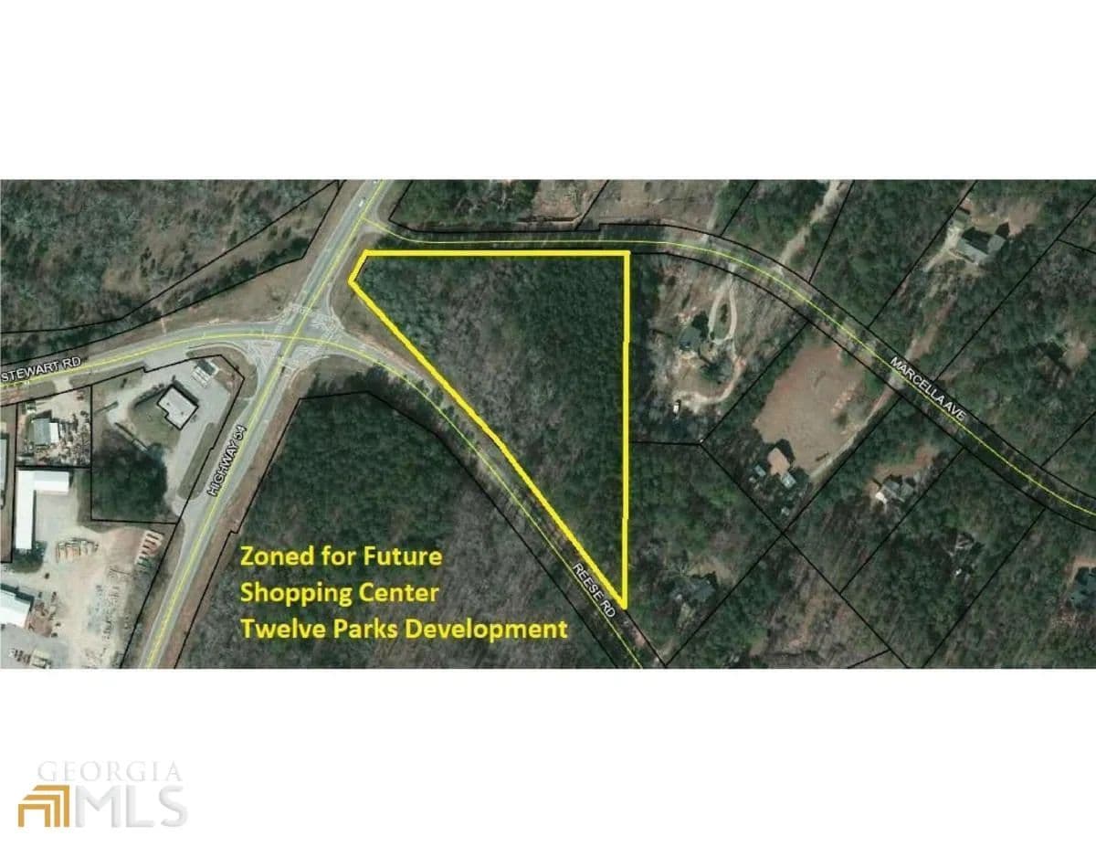 Vacant Land in Sharpsburg - Sharpsburg, Georgia, 30277