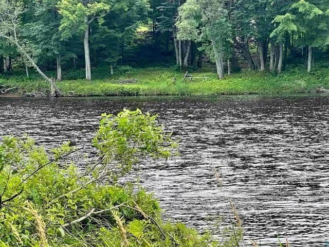 Vacant Land in Weirgor Twp