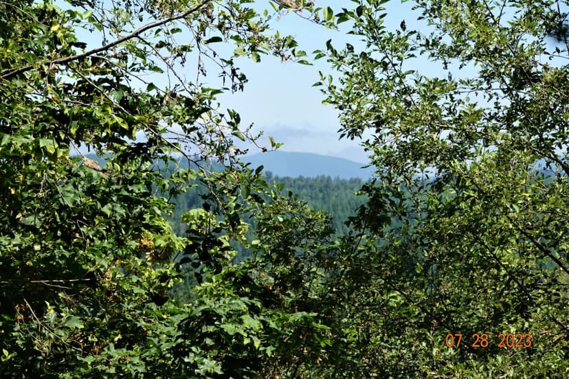 21 Acres with views of Alder Lake