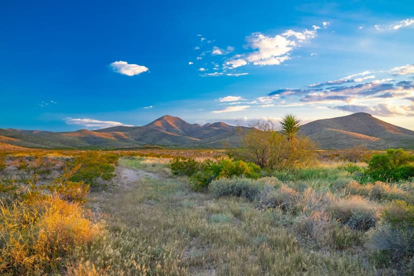 Wylie Mountains Ranch