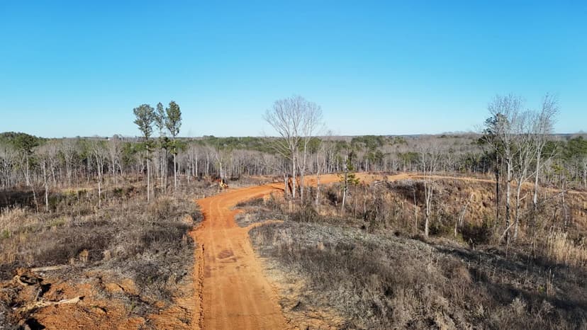 44.3 Acres in Union County, MS