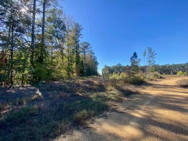 40 Acres on Robert Jones Rd | Summit, MS