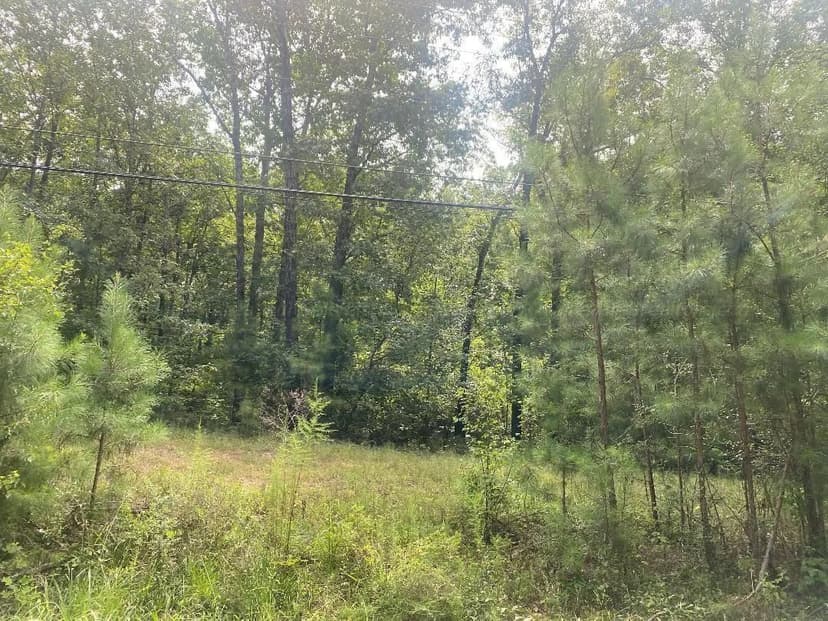 Vacant Land in Jasper