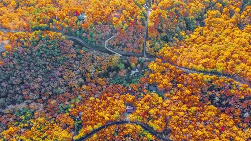 Vacant Land in Talking Rock