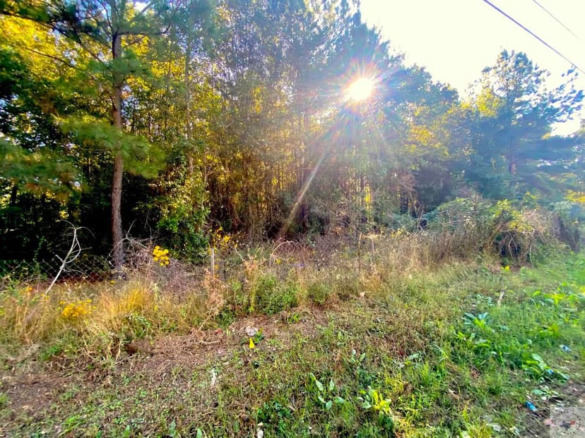 Vacant Land in Texarkana