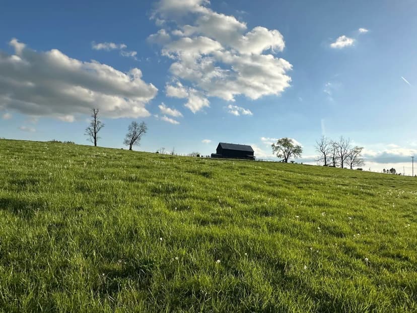 Property from 3523 Cynthiana Road - KW